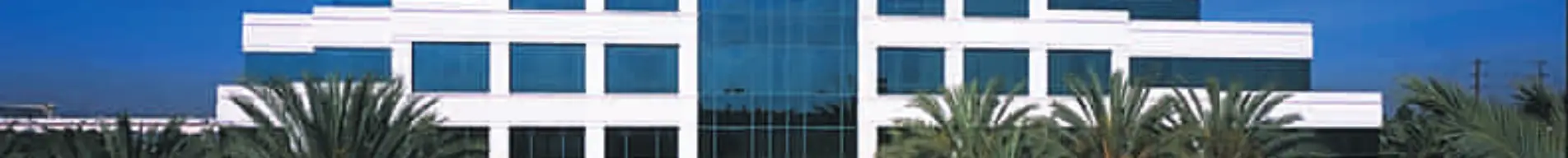 Modern office building with palm trees under blue sky.